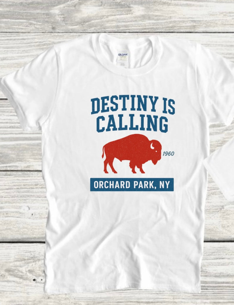 Destiny is calling