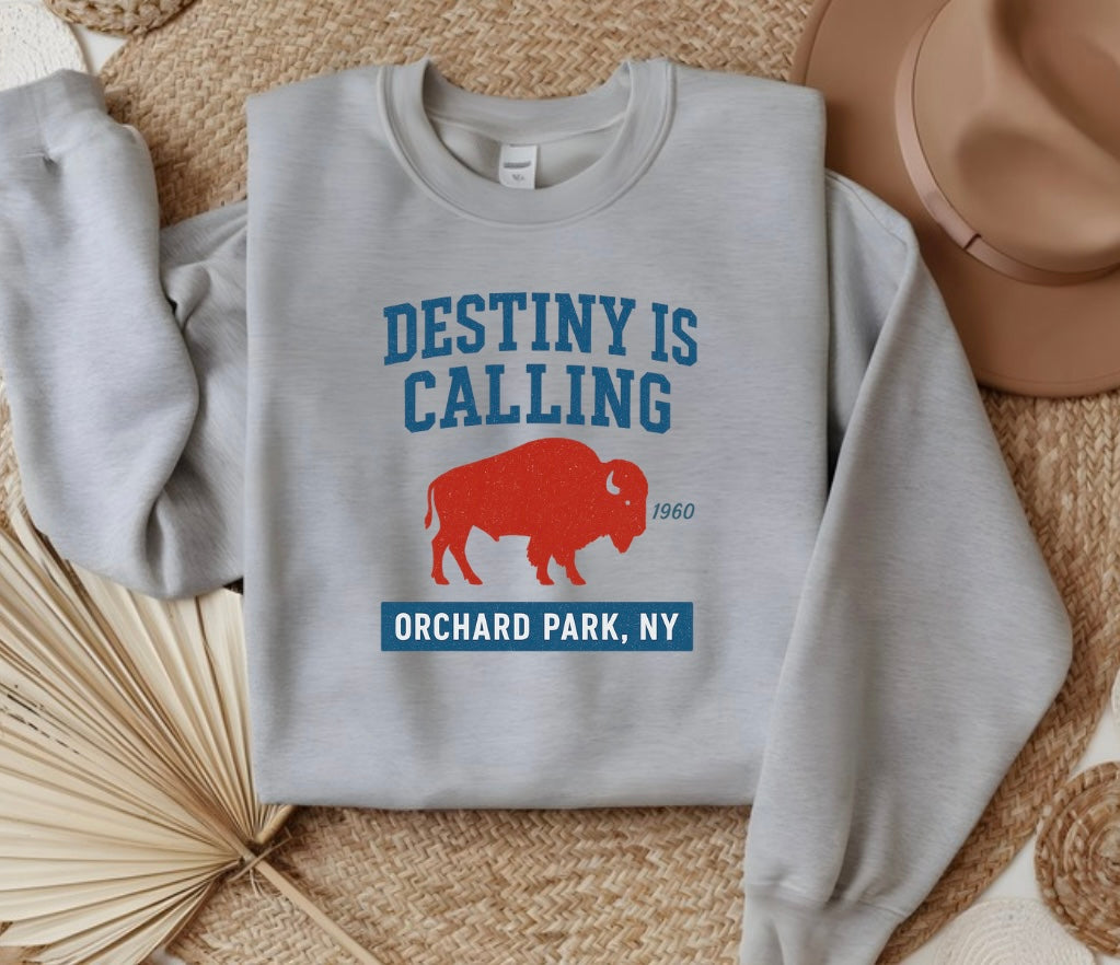 Destiny is calling