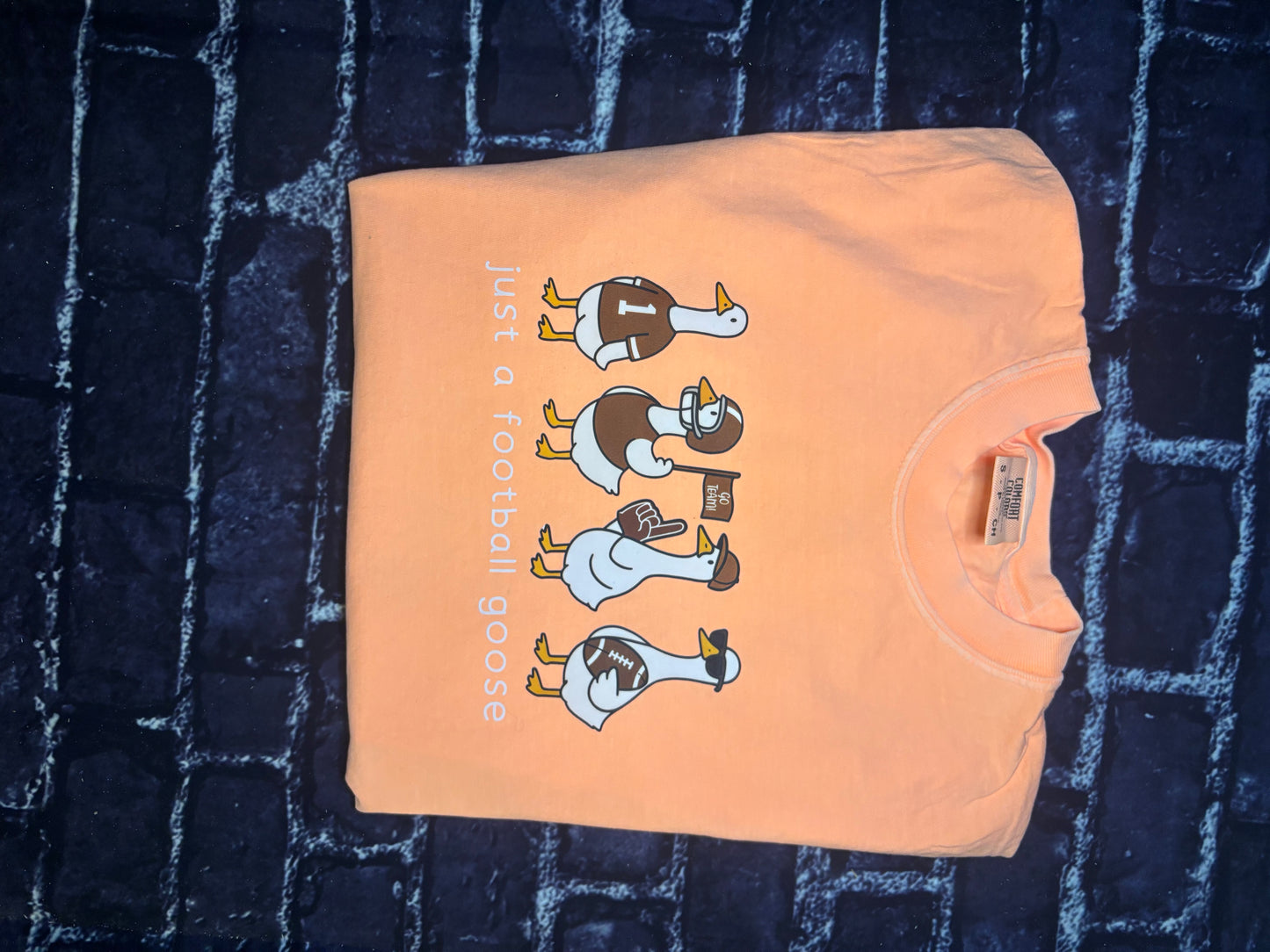 Just a football goose