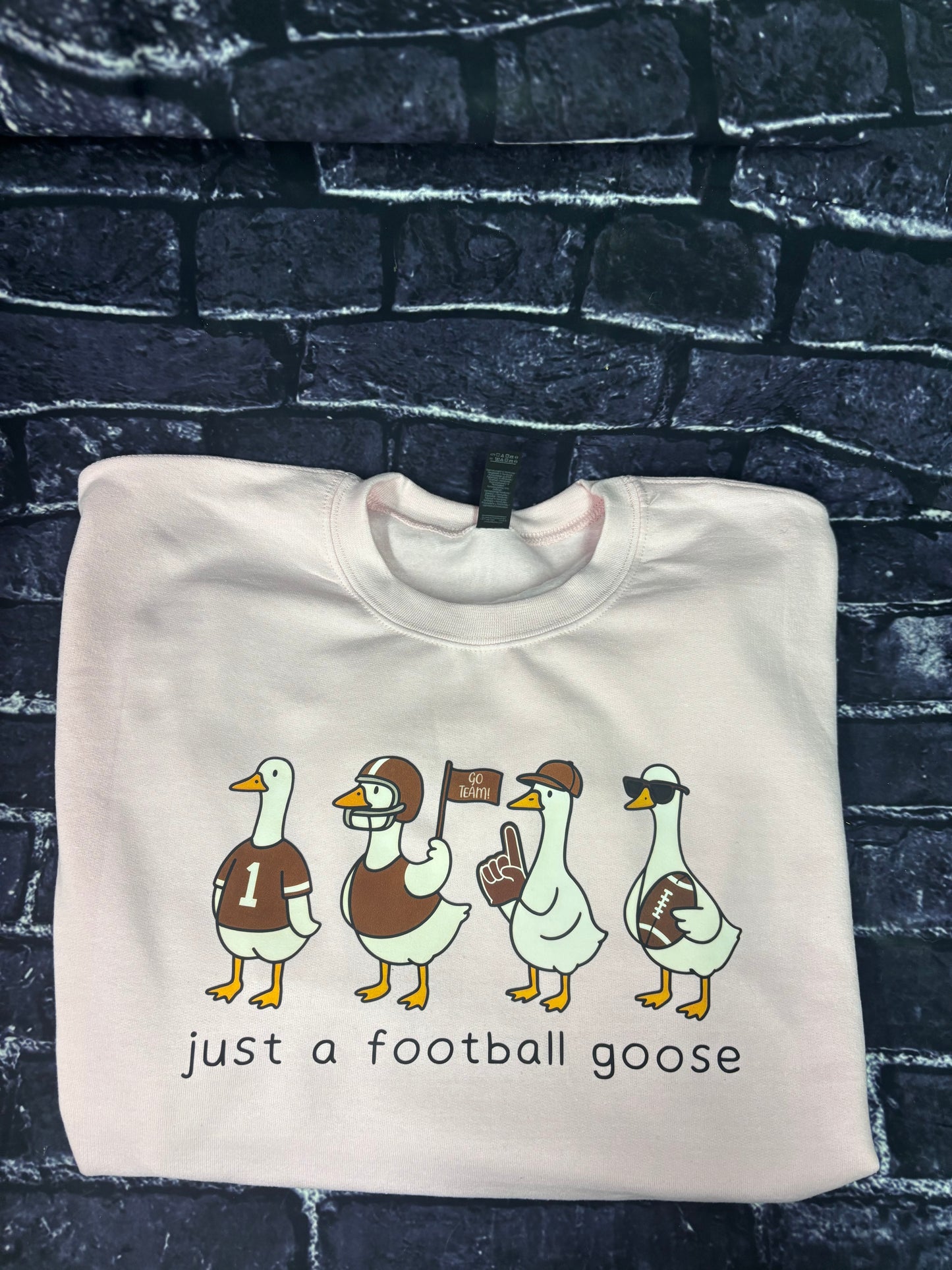 Just a football goose