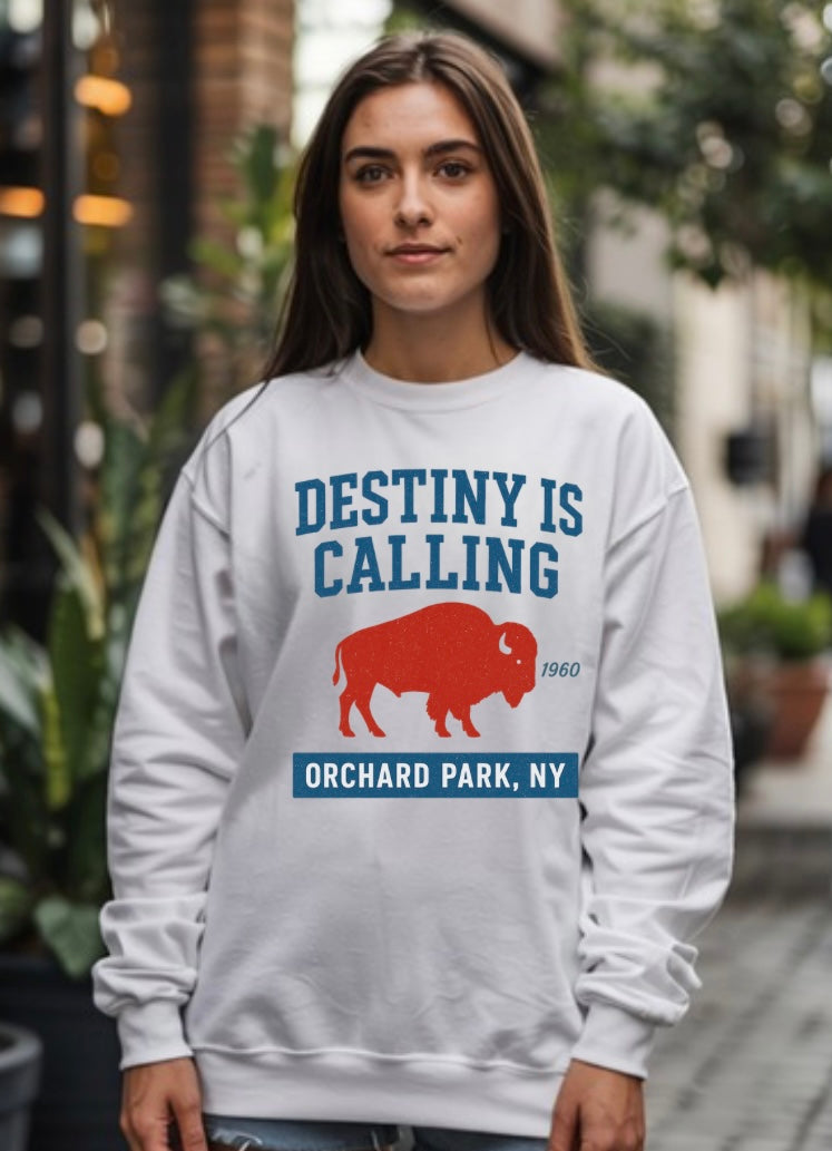 Destiny is calling