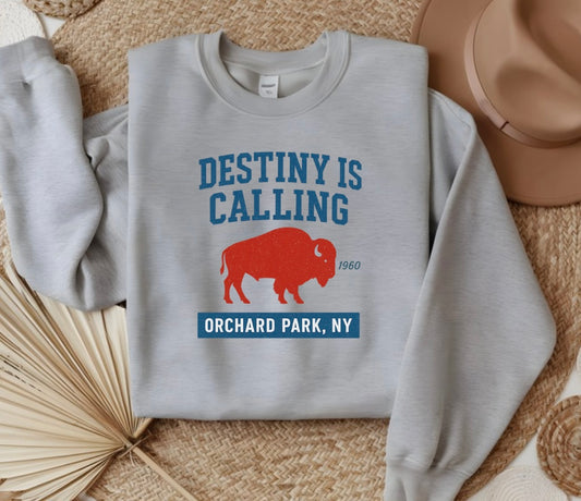 Destiny is calling