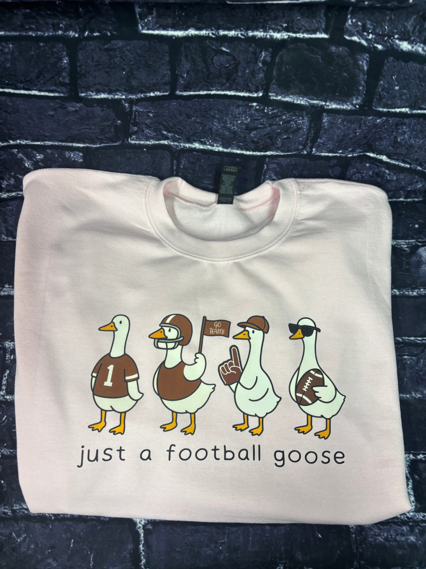 Just a football goose